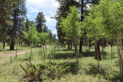 Colorado-Wyoming-South-Dakota-Broadmoor-Trip-2020-223