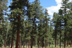 Colorado-Wyoming-South-Dakota-Broadmoor-Trip-2020-230