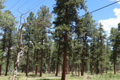 Colorado-Wyoming-South-Dakota-Broadmoor-Trip-2020-232