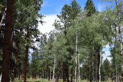 Colorado-Wyoming-South-Dakota-Broadmoor-Trip-2020-238