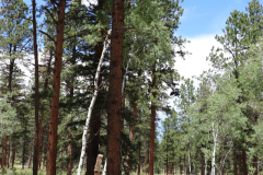 Colorado-Wyoming-South-Dakota-Broadmoor-Trip-2020-240