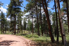 Colorado-Wyoming-South-Dakota-Broadmoor-Trip-2020-249