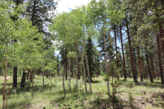 Colorado-Wyoming-South-Dakota-Broadmoor-Trip-2020-254