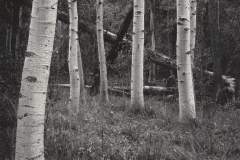 aspens10