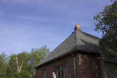 Brick-House-Plants-Susie-Burns-1-13