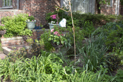 Brick-House-Plants-Susie-Burns-1-14