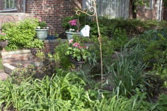 Brick-House-Plants-Susie-Burns-1-14