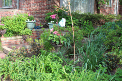 Brick-House-Plants-Susie-Burns-1-14_1
