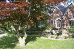 Brick-House-Plants-Susie-Burns-1-17