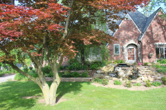 Brick-House-Plants-Susie-Burns-1-17_1