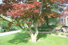Brick-House-Plants-Susie-Burns-1-18_1