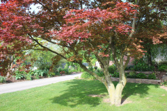 Brick-House-Plants-Susie-Burns-1-19_1