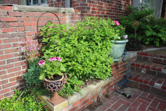 Brick-House-Plants-Susie-Burns-1-1_1