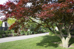 Brick-House-Plants-Susie-Burns-1-20
