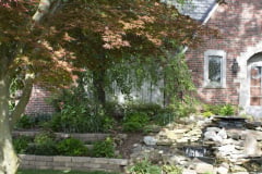 Brick-House-Plants-Susie-Burns-1-28