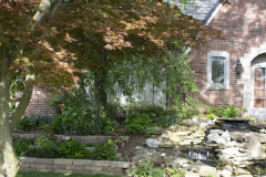 Brick-House-Plants-Susie-Burns-1-28