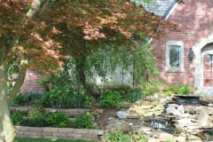 Brick-House-Plants-Susie-Burns-1-28_1