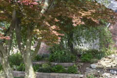 Brick-House-Plants-Susie-Burns-1-29