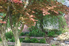 Brick-House-Plants-Susie-Burns-1-29_1