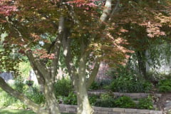 Brick-House-Plants-Susie-Burns-1-30