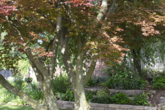 Brick-House-Plants-Susie-Burns-1-30