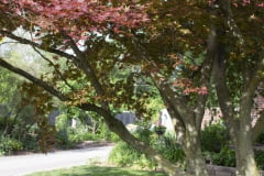Brick-House-Plants-Susie-Burns-1-32
