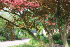 Brick-House-Plants-Susie-Burns-1-32_1