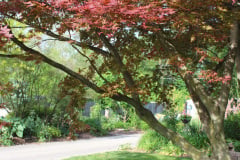 Brick-House-Plants-Susie-Burns-1-33_1