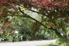 Brick-House-Plants-Susie-Burns-1-34