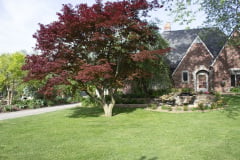 Brick-House-Plants-Susie-Burns-1-36