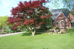 Brick-House-Plants-Susie-Burns-1-36_1
