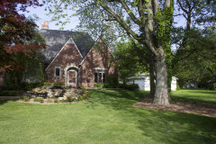 Brick-House-Plants-Susie-Burns-1-38