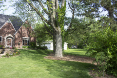 Brick-House-Plants-Susie-Burns-1-39