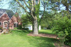 Brick-House-Plants-Susie-Burns-1-39_1