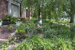 Brick-House-Plants-Susie-Burns-1-6