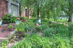 Brick-House-Plants-Susie-Burns-1-6_1