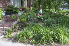 Brick-House-Plants-Susie-Burns-1-7