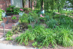 Brick-House-Plants-Susie-Burns-1-7_1