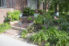 Brick-House-Plants-Susie-Burns-1-8