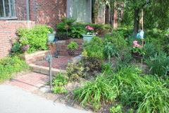 Brick-House-Plants-Susie-Burns-1-8_1