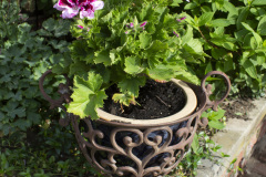 Brick-House-Plants-Susie-Burns-2-2