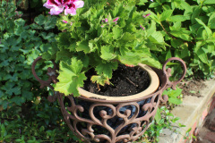 Brick-House-Plants-Susie-Burns-2-2_1