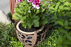 Brick-House-Plants-Susie-Burns-2-4