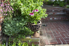 Brick-House-Plants-Susie-Burns-2-5
