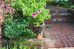Brick-House-Plants-Susie-Burns-2-5_1