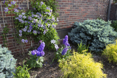 Brick-House-Plants-Susie-Burns-2-9