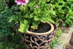 Brick-House-with-Plants-41