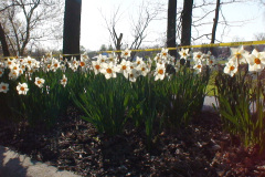 DSC00296