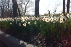 DSC00297