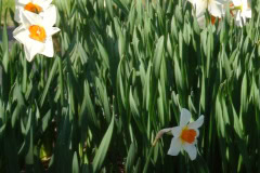 DSC00320